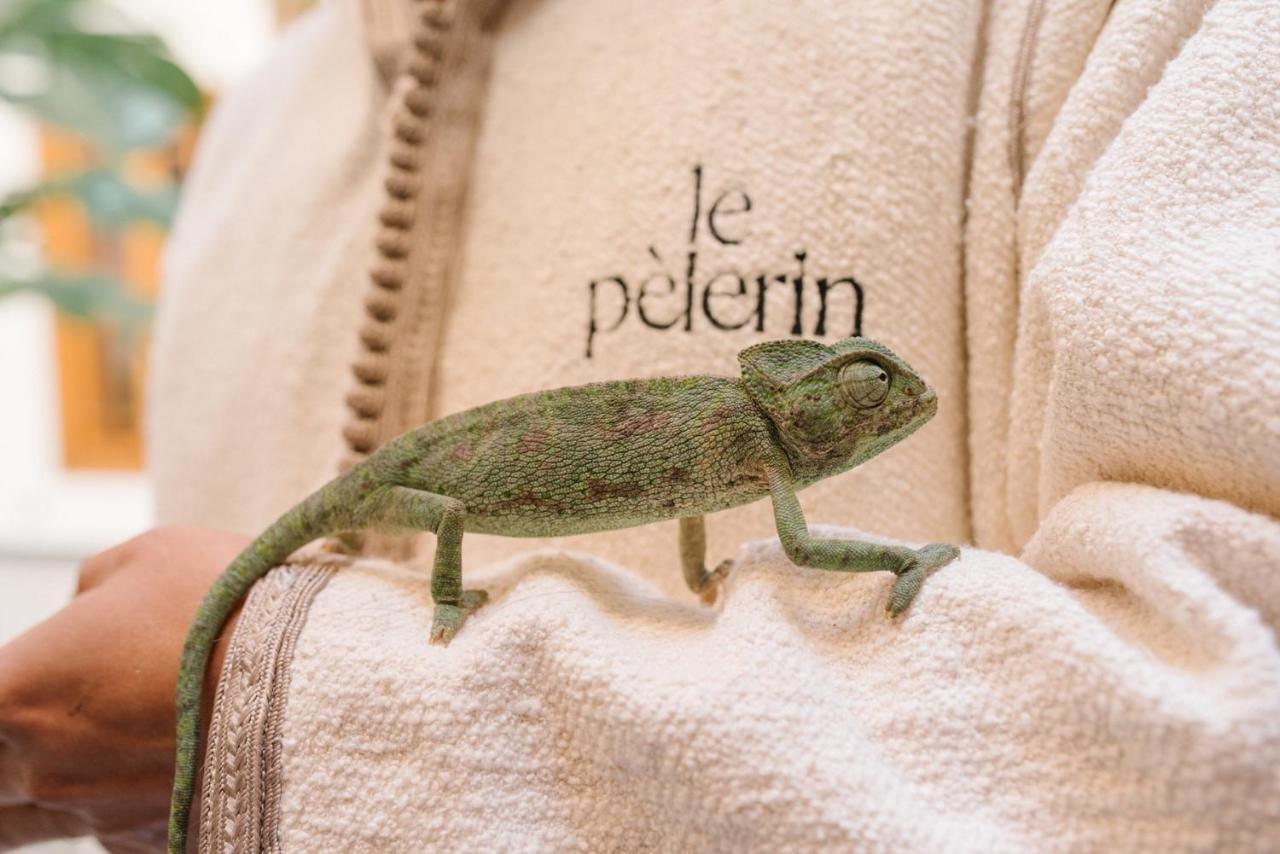 Riad Le Pelerin มาร์ราเกช ภายนอก รูปภาพ